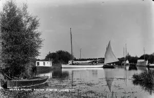 Reeds Prints: Tranquil Waters at Barton Staithe