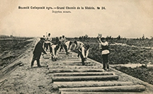 Images Dated 18th March 2011: Trans-Siberian Railway - Laying sleepers
