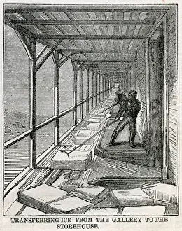Stored Prints: Transferring ice to storehouse, Hudson River 1875