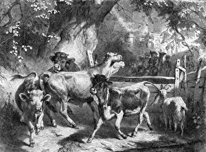 Villages Prints: TRANSHUMANCE, SWISS