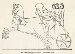 Chariots Collection: Transport / Chariot