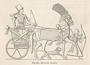 Transport / Chariot