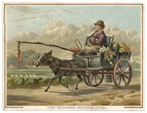 Transport / Donkey C1880