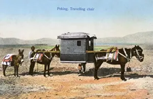 Transporting Prints: Transport - Sedan Chair carried by donkeys - Beijing, China