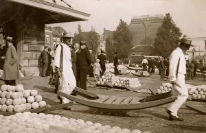 Famed Collection: Transporting cheeses - Alkmaar, the Netherlands