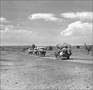 Madhya Prints: Transporting goods in Madhya Pradesh, Central India