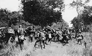 Transporting supplies to Handeni, East Africa, WW1 Transporting supplies to Handeni, East Africa, WW1
