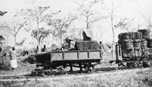 Images Dated 17th June 2016: Transporting supplies, Schaedels Farm, Lindi, WW1