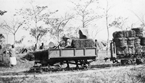 Transporting Gallery: Transporting supplies, Schaedels Farm, Lindi, WW1