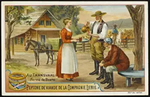 Transvaal Boer Farm