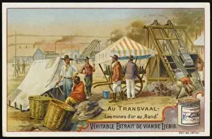 Transvaal Gold Mining