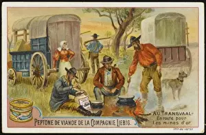 Transvaal Travellers