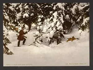 Lynx Prints: Trapping lynx, Russia