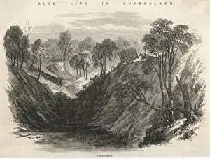 Travel / Australia / Bush Rd