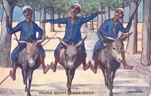 Travel Through Egypt