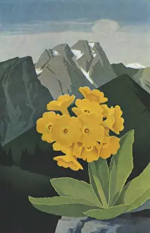 Travel poster (Austria)