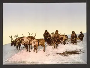 Traveling Prints: Traveling by reindeer, Archangel, Russia