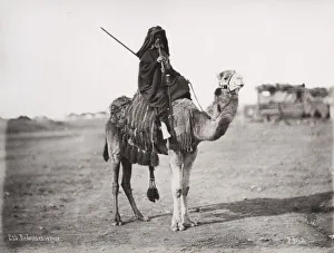 Traveller, Bedouin man on camel, Egypt