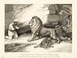 Gay And Phaedrus Prints: A traveller in turban begs for his life from a lion