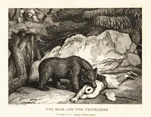 Gay And Phaedrus Prints: A traveller in turban plays dead while attacked by a bear