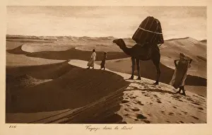 Wandering Prints: Travelling across the Sahara, Egypt - Camel