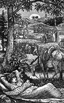 Travels with a Donkey Travels with a Donkey