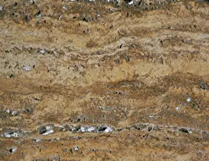 Sedimentary Prints: Travertine