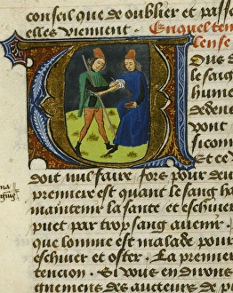 Aldebrando Collection: Treatise on Medicine by Aldebrando da Firenze