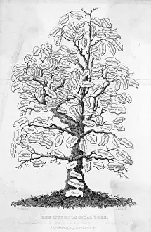 Aspects Prints: TREE OF CLASSICAL MYTH