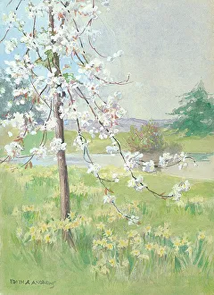 Daffodils Prints: Tree and daffodils with river beyond