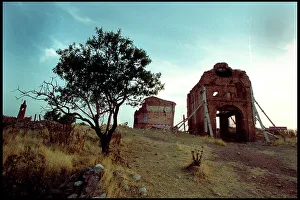 Images Dated 8th December 2015: Tree and damaged buildings, Belchite, Spain
