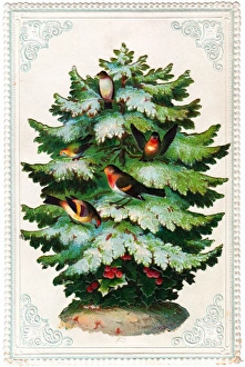 Decorative Bird