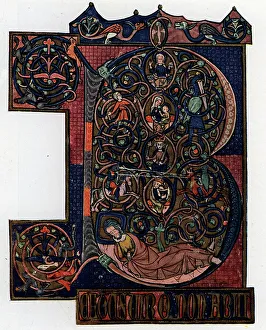 Trustees Prints: The Tree of Jesse