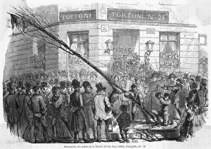 Enthusiasts Prints: Tree of Liberty Felled2