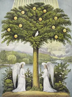 The tree of life