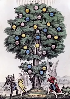 The Tree of Life. The Christian