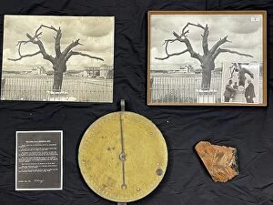 Nation Collection: Tree and spring balance brass dial, Samuel Cody Archive