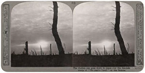 Images Dated 26th March 2018: Tree stumps in no man's land at sunset, Somme, WW1