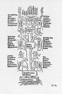 Turn Prints: The Tree of Vices