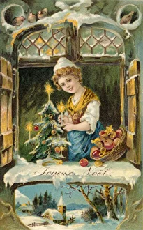 Sill Gallery: Tree in Window