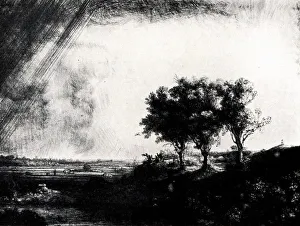 Rijn Collection: The Three Trees