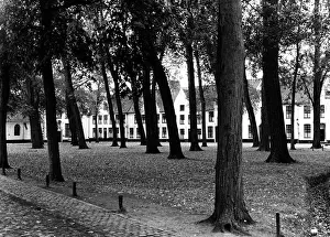 Brugge Prints: Trees and houses in Bruges, Belgium