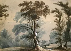 Henrietta Prints: Trees possibly at St Donats Glamorganshire