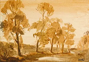 Trees along a river