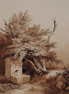 Spout Prints: Trees and a Water Spout