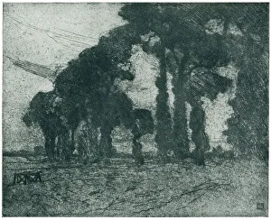 Crates Prints: Trees In The Wind