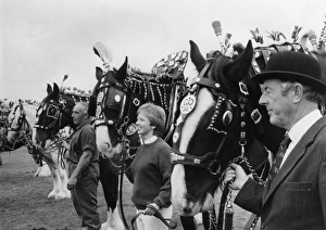 Images Dated 28th November 2016: Tregony Heavy Horse Show and Country Fayre, Cornwall