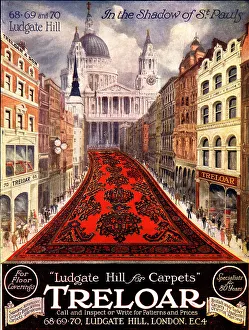 Leads Collection: Treloar Advertisement