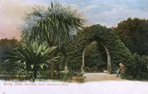 Bloom Collection: Tresco - Scilly Islands - The Old Abbey Ruins
