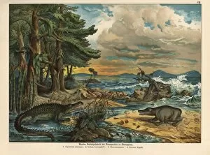 Triassic landscape with plants and amphibians
